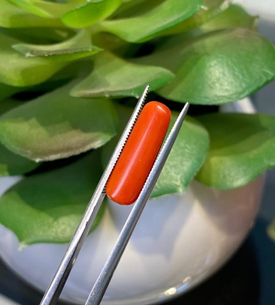 Natural Coral – 5.145 Ct