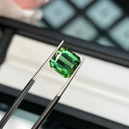4.73ct Natural Tourmaline