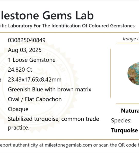 24.82 Ct Natural Turquoise