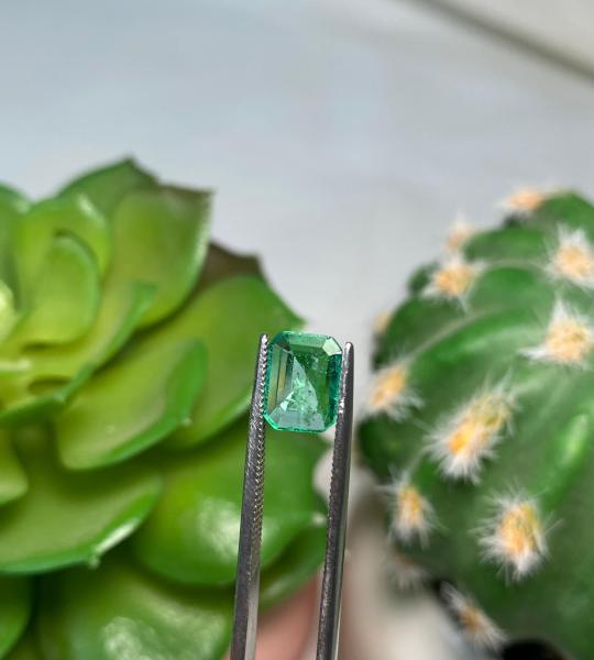 Natural Emerald – 0.790 Ct