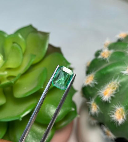 Natural Emerald – 0.790 Ct