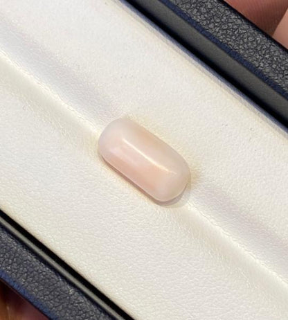 Natural Coral 5.535 Ct