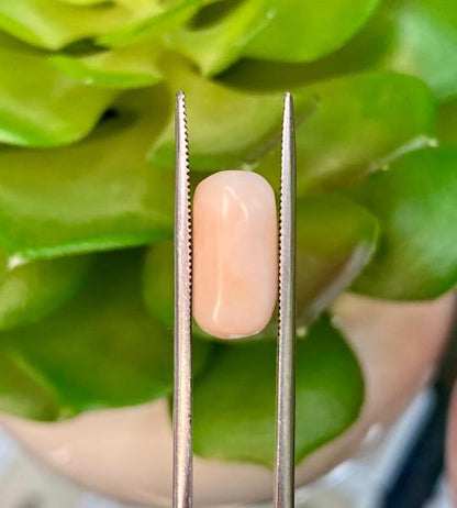 Natural Coral 5.535 Ct